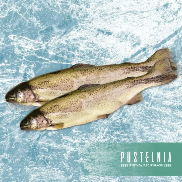 pstrąg patroszony Pustelnia 2