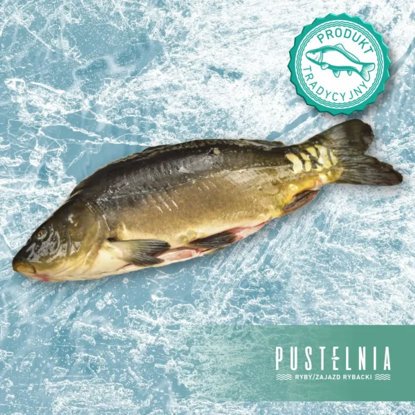 karp patroszony Pustelnia