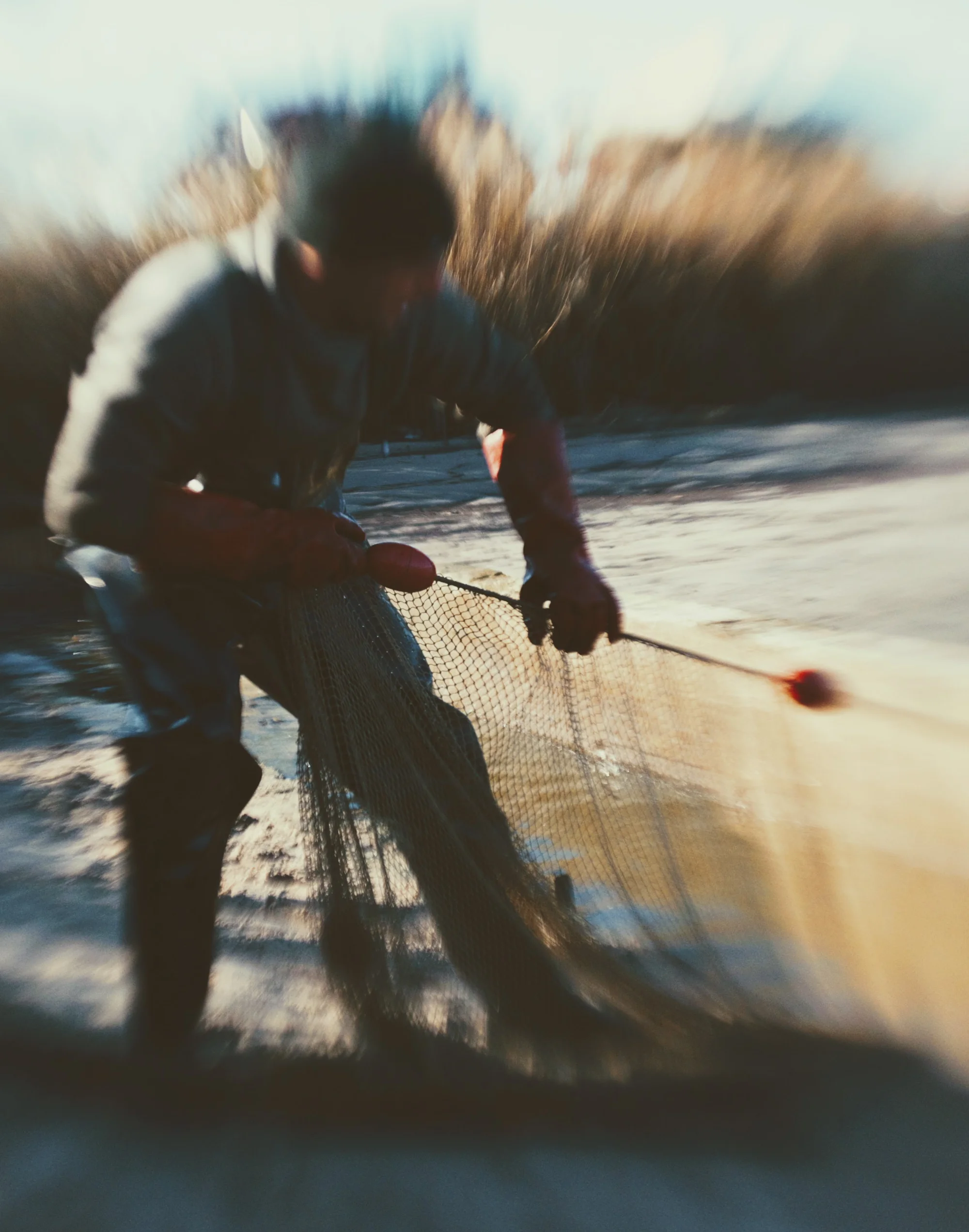 hodowla ryb Pustelnia