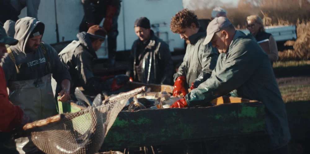 odłowy ryb w Pustelni