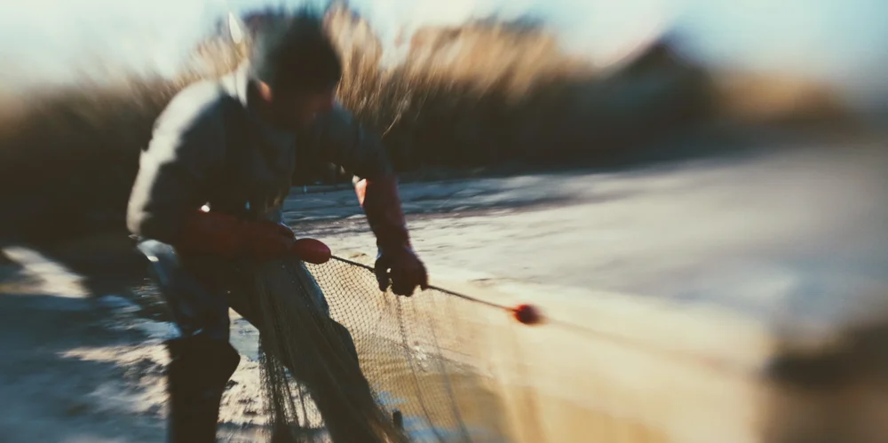 odłowy ryb w Pustelni