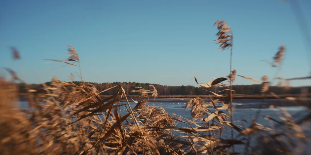 odłowy ryb w Pustelni