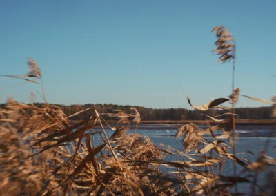 odłowy ryb w Pustelni