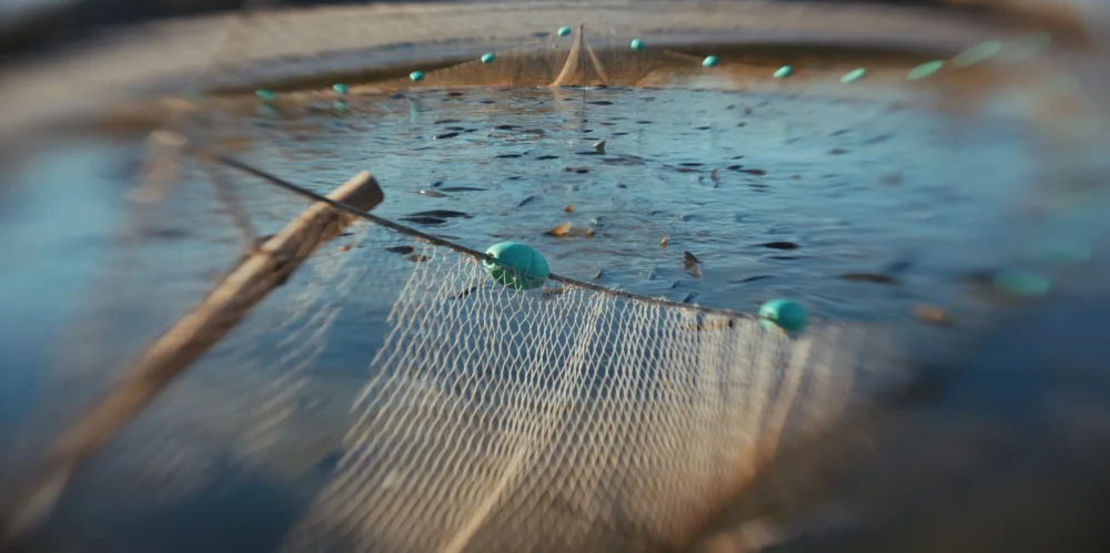 odłowy ryb w Pustelni