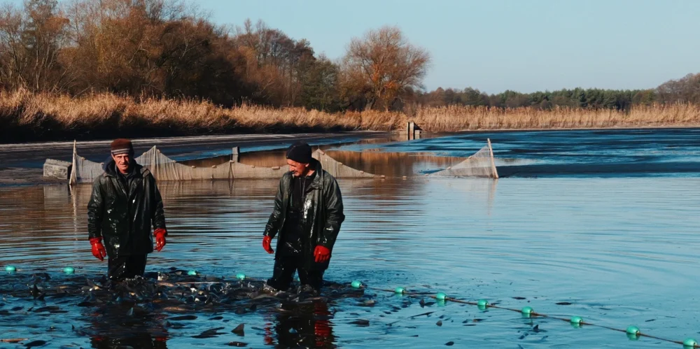 odłowy ryb w Pustelni