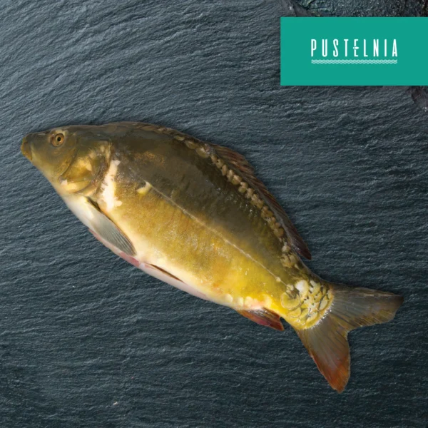 karp patroszony Pustelnia